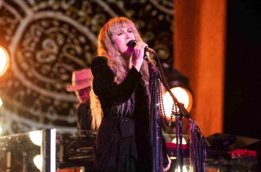 Stevie Nicks Postpones Another Concert ‘Due to Illness’